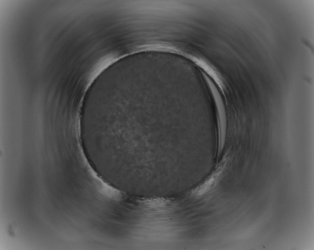 X0000097590999200802291215