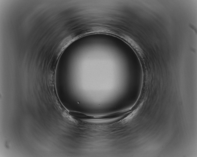 X0000097591001200802291214