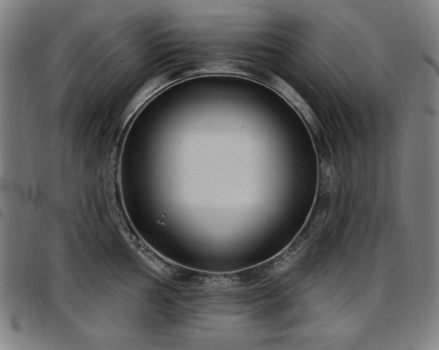 X0000097591002200802291214