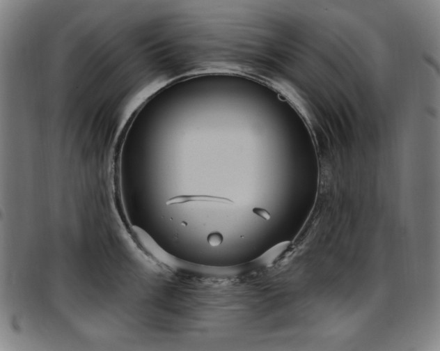 X0000097591003200802291214