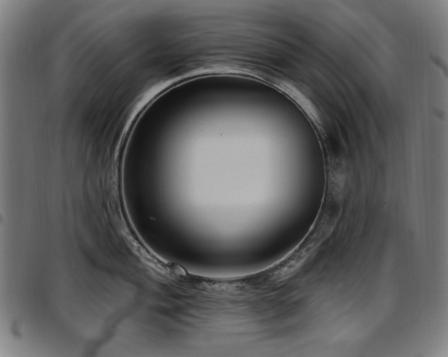 X0000097591004200802291214