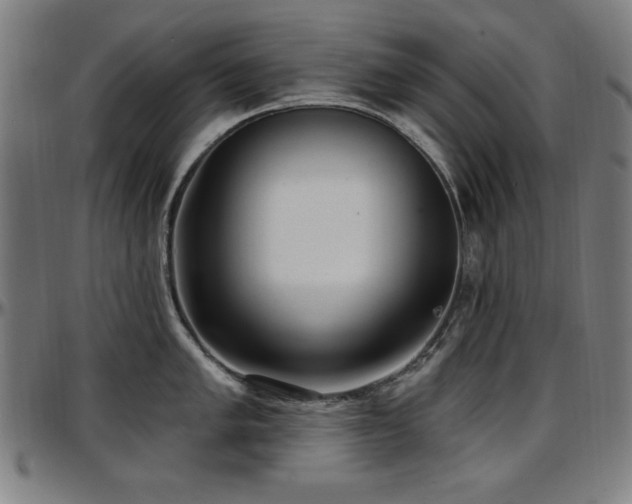X0000097591005200802291214