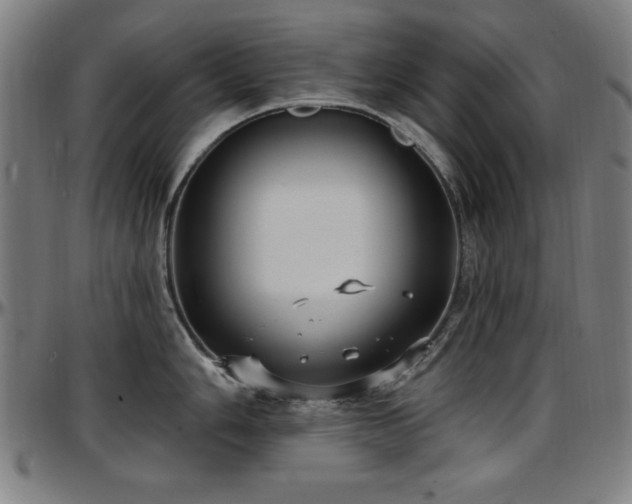 X0000097591006200802291214