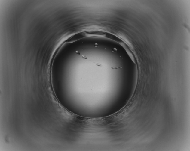X0000097591008200802291214