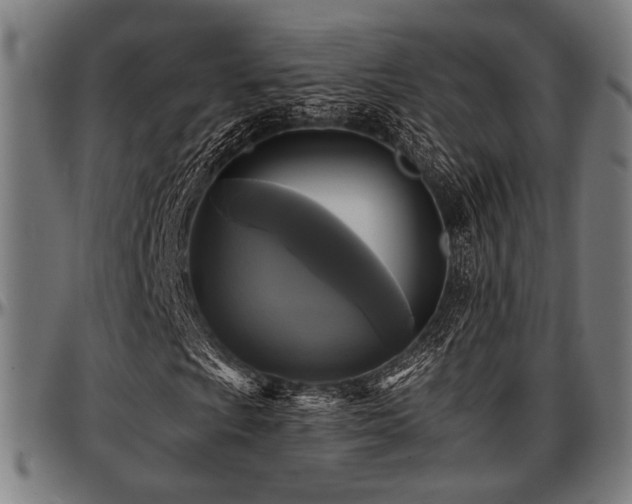X0000097591009200802291214