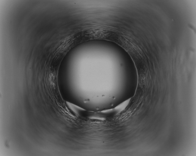 X0000097591010200802291214