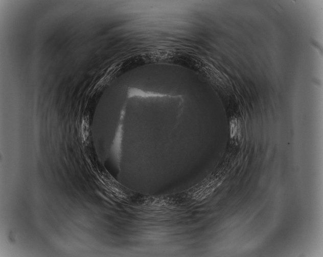 X0000097591011200802291214