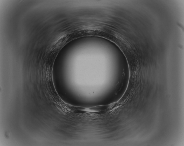 X0000097591014200802291214