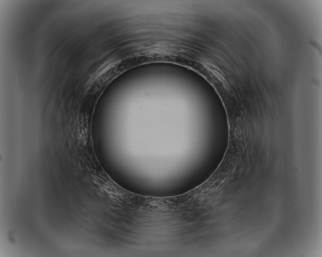 X0000097591015200802291214