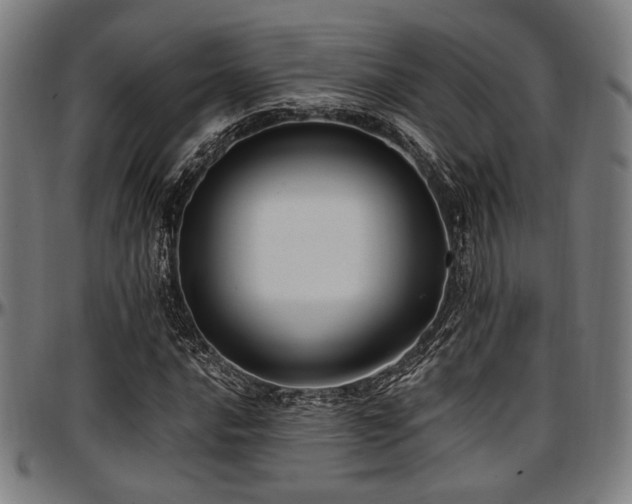 X0000097591016200802291214
