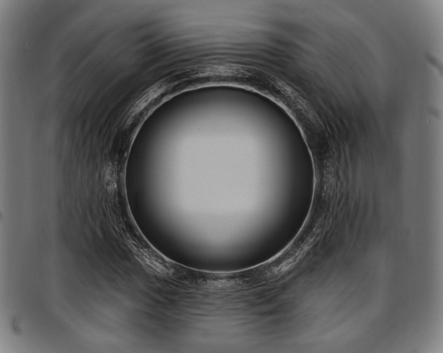 X0000097591017200802291214