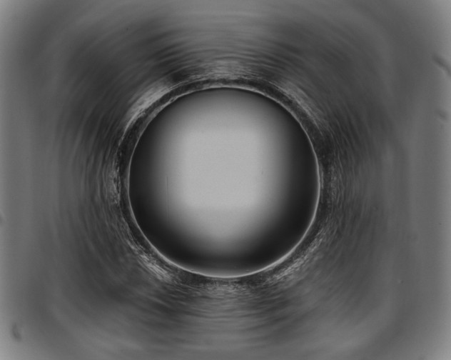 X0000097591018200802291214