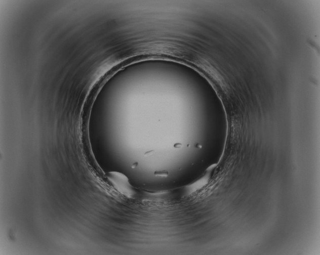 X0000097591020200802291214