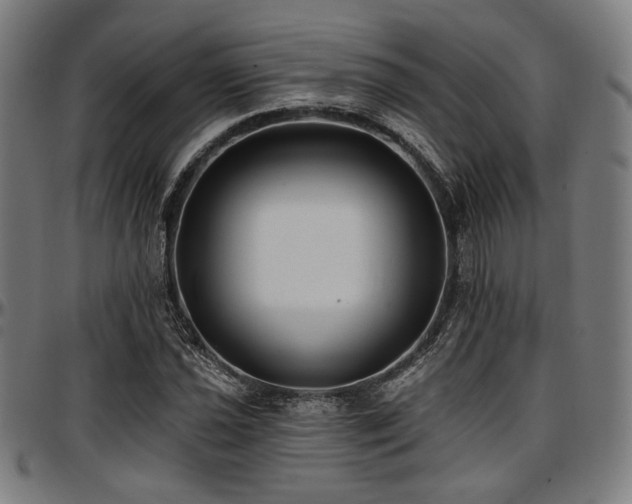 X0000097591021200802291214