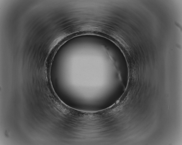 X0000097591022200802291214
