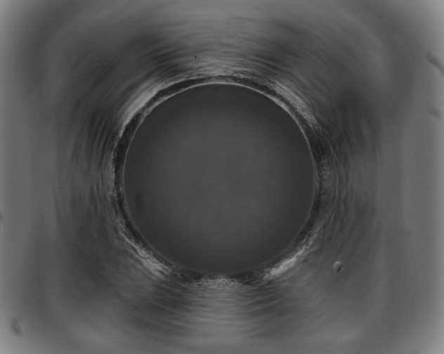 X0000097591023200802291214