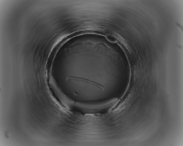 X0000097591024200802291214
