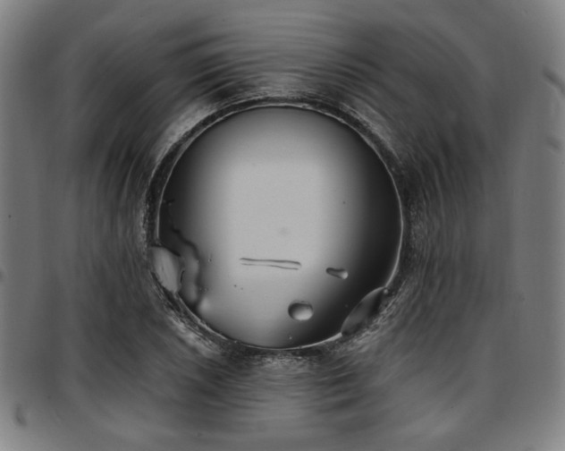 X0000097591026200802291214