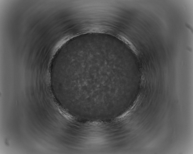X0000097591027200802291214