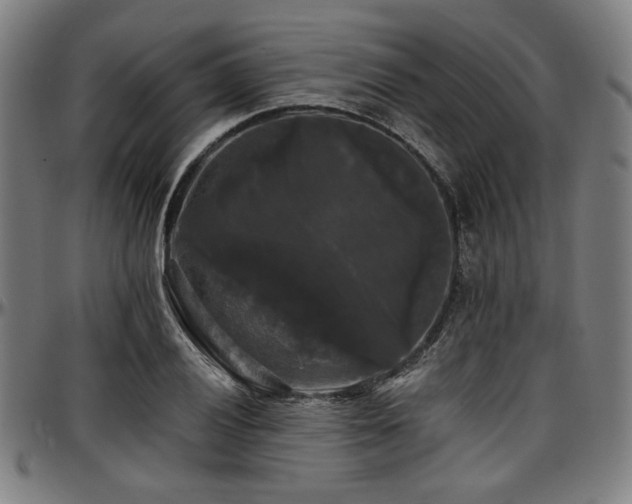 X0000097591028200802291214