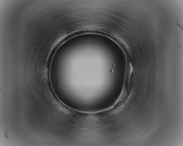 X0000097591029200802291214