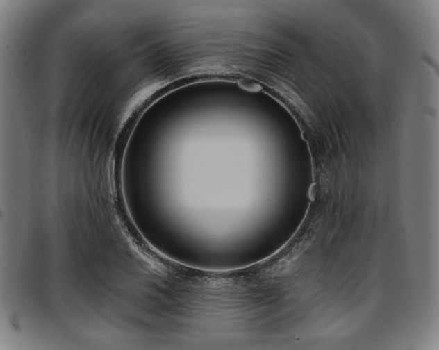 X0000097591030200802291214