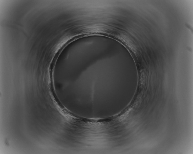 X0000097591031200802291214