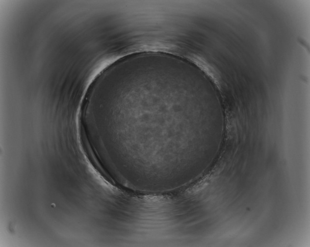 X0000097591032200802291214