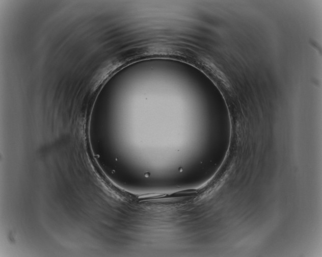 X0000097591033200802291214
