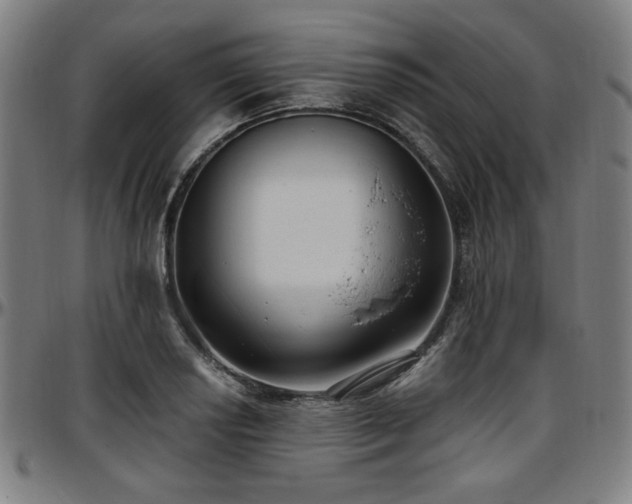 X0000097591034200802291214