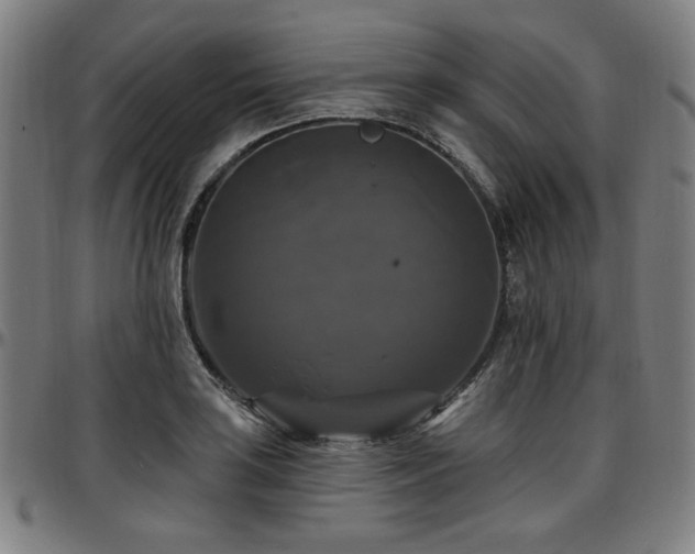 X0000097591035200802291214
