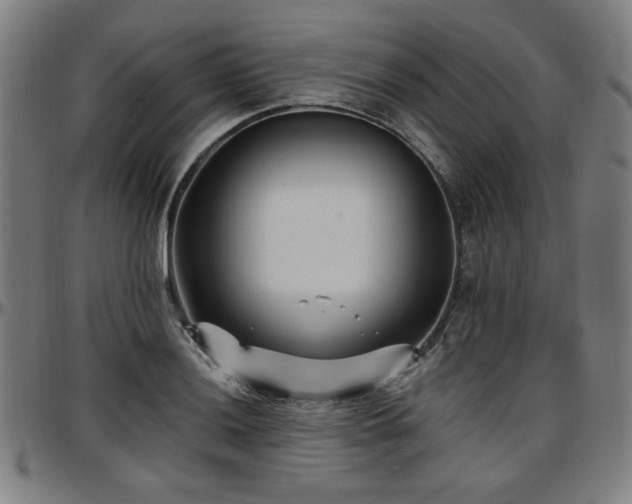 X0000097591036200802291214