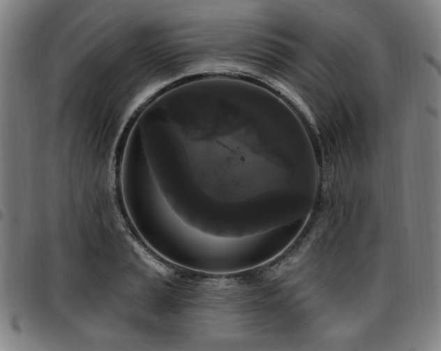 X0000097591037200802291214