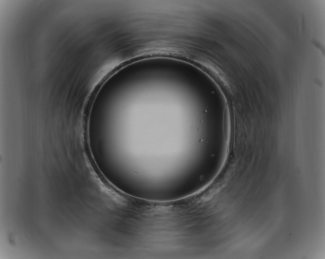 X0000097591038200802291214