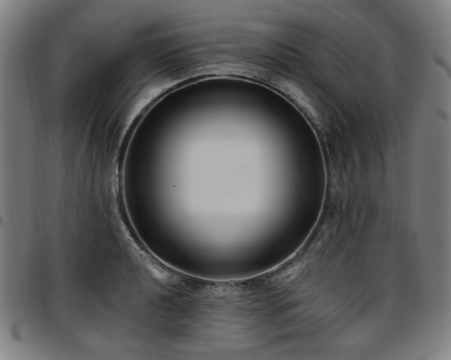 X0000097591040200802291214