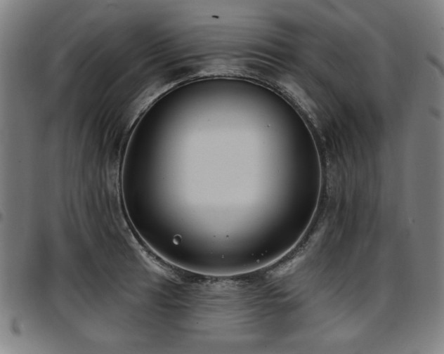 X0000097591041200802291214