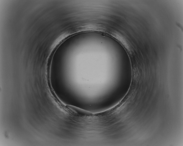 X0000097591043200802291214