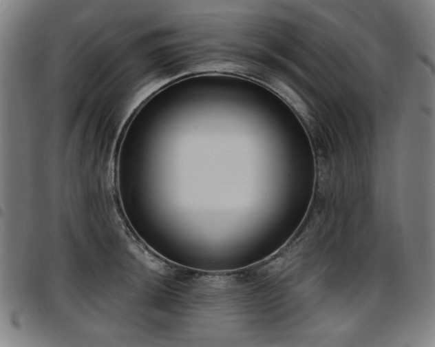 X0000097591044200802291214