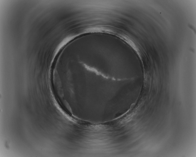 X0000097591045200802291214