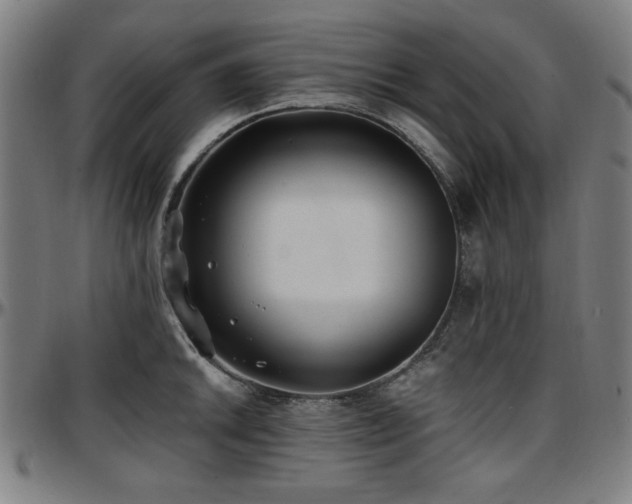 X0000097591046200802291214