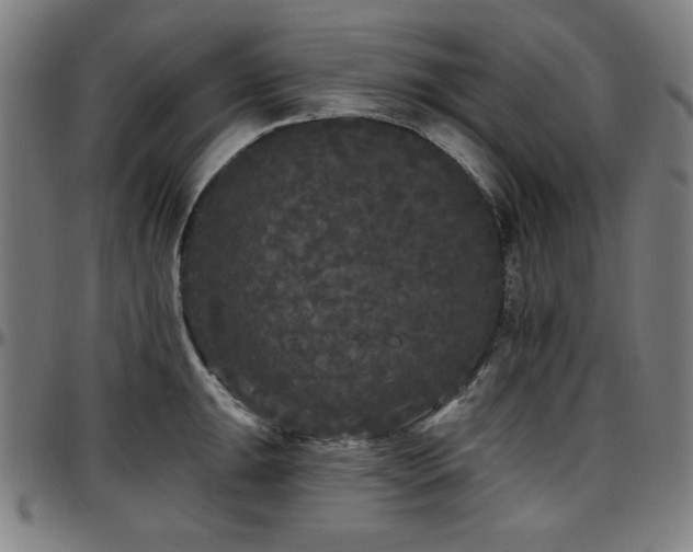 X0000097591047200802291214