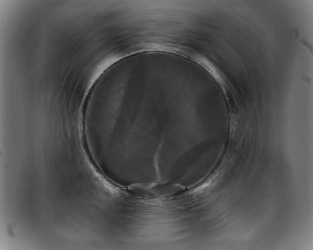 X0000097591048200802291214