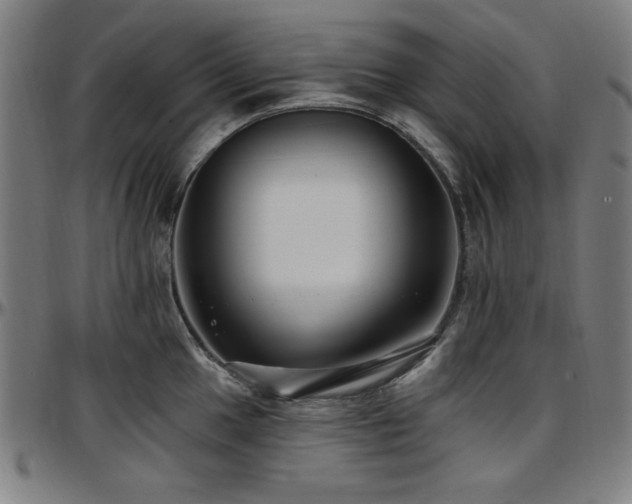X0000097591049200802291214