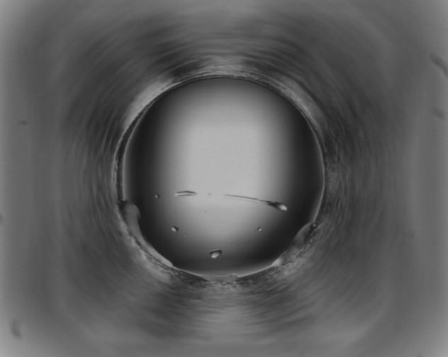 X0000097591050200802291214