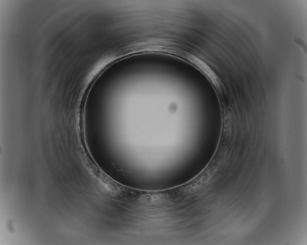 X0000097591051200802291214