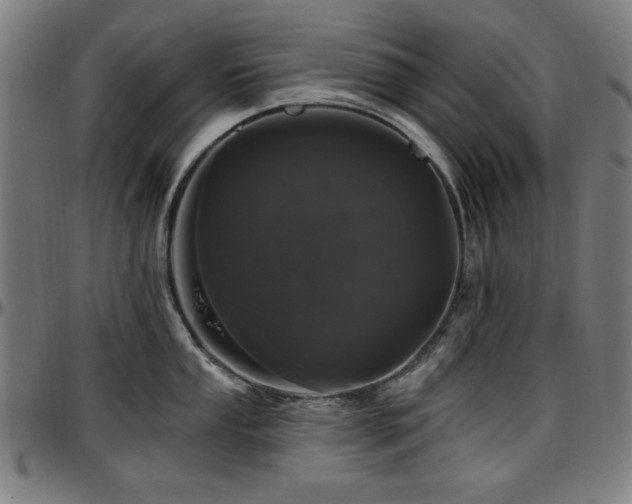 X0000097591053200802291214
