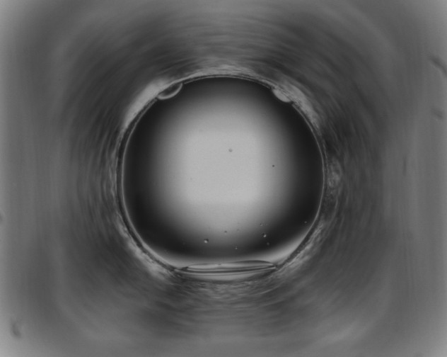 X0000097591054200802291214