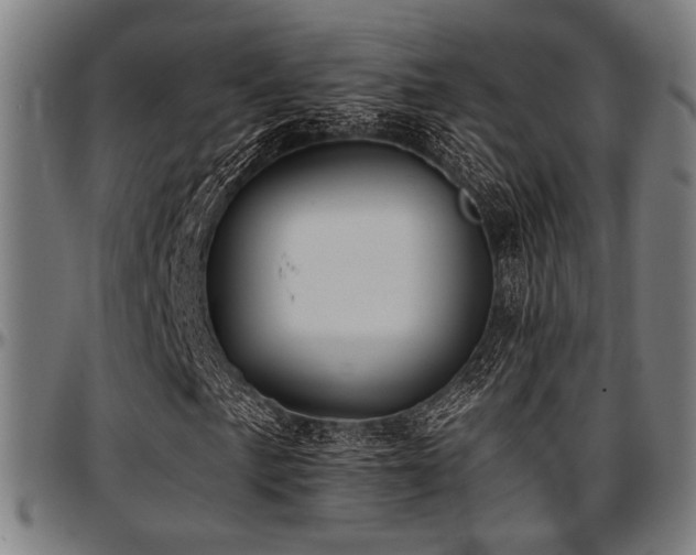 X0000097591057200802291213
