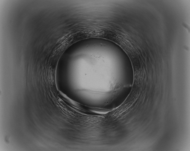 X0000097591058200802291213