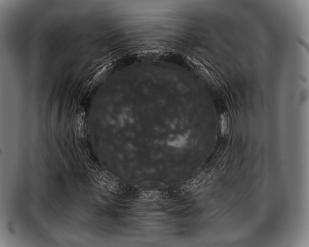 X0000097591059200802291213